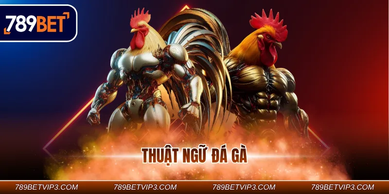 Thuật ngữ đá gà